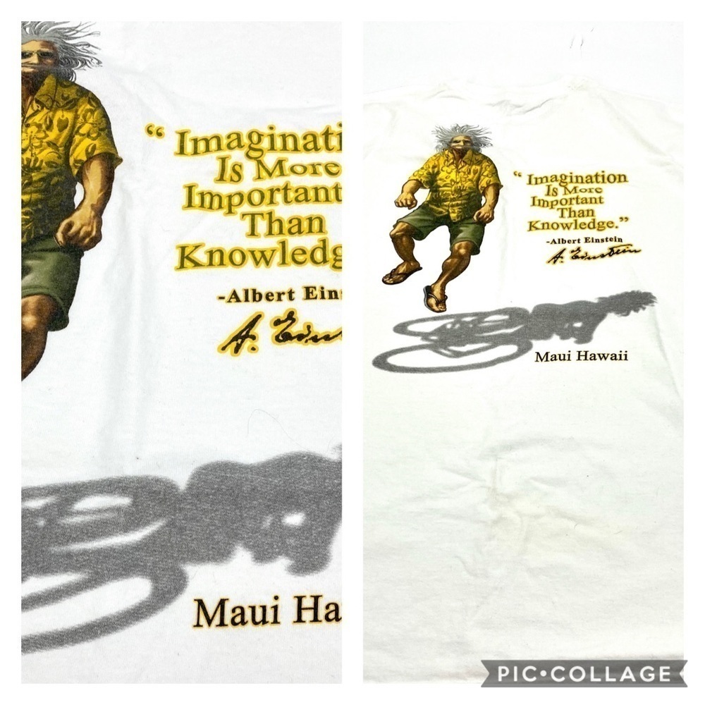 Albert Einstein Hawaii Imagination and knowledge Maui Hawaii  T